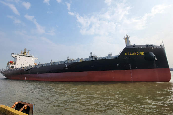 N20801800TEU集装箱船“CELANDINE”-45a4172980354234996950231fa68074